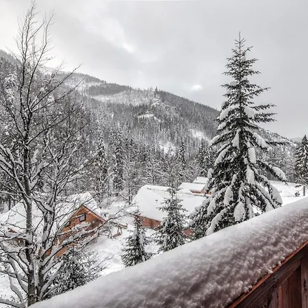 Apartments Srdiecko - Jasna South, Forest View, Sauna In One Apt Fireplace In Both 公寓 *