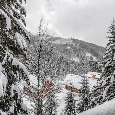 Apartments Srdiecko - Jasna South, Forest View, Sauna In One Apt Fireplace In Both * Horná Lehota