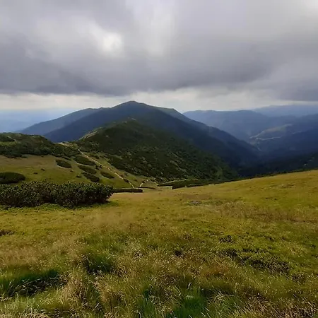 Apartments Srdiecko - Jasna South, Forest View, Sauna In One Apt Fireplace In Both Lägenhet