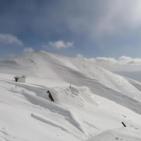 Apartments Srdiecko - Jasna South, Forest View, Sauna In One Apt Fireplace In Both Horná Lehota