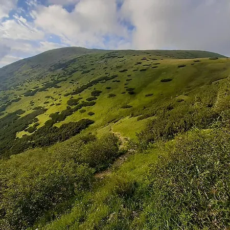 Lägenhet Apartments Srdiecko - Jasna South, Forest View, Sauna In One Apt Fireplace In Both